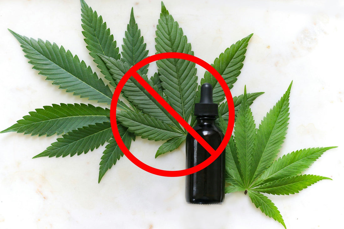 Warum CBD-Öle plötzlich nicht mehr bei Amazon zu finden sind