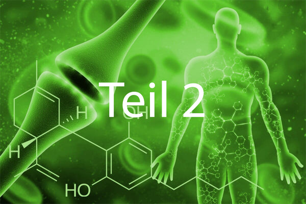 Unser Endocannabinoid-System (Teil 2)