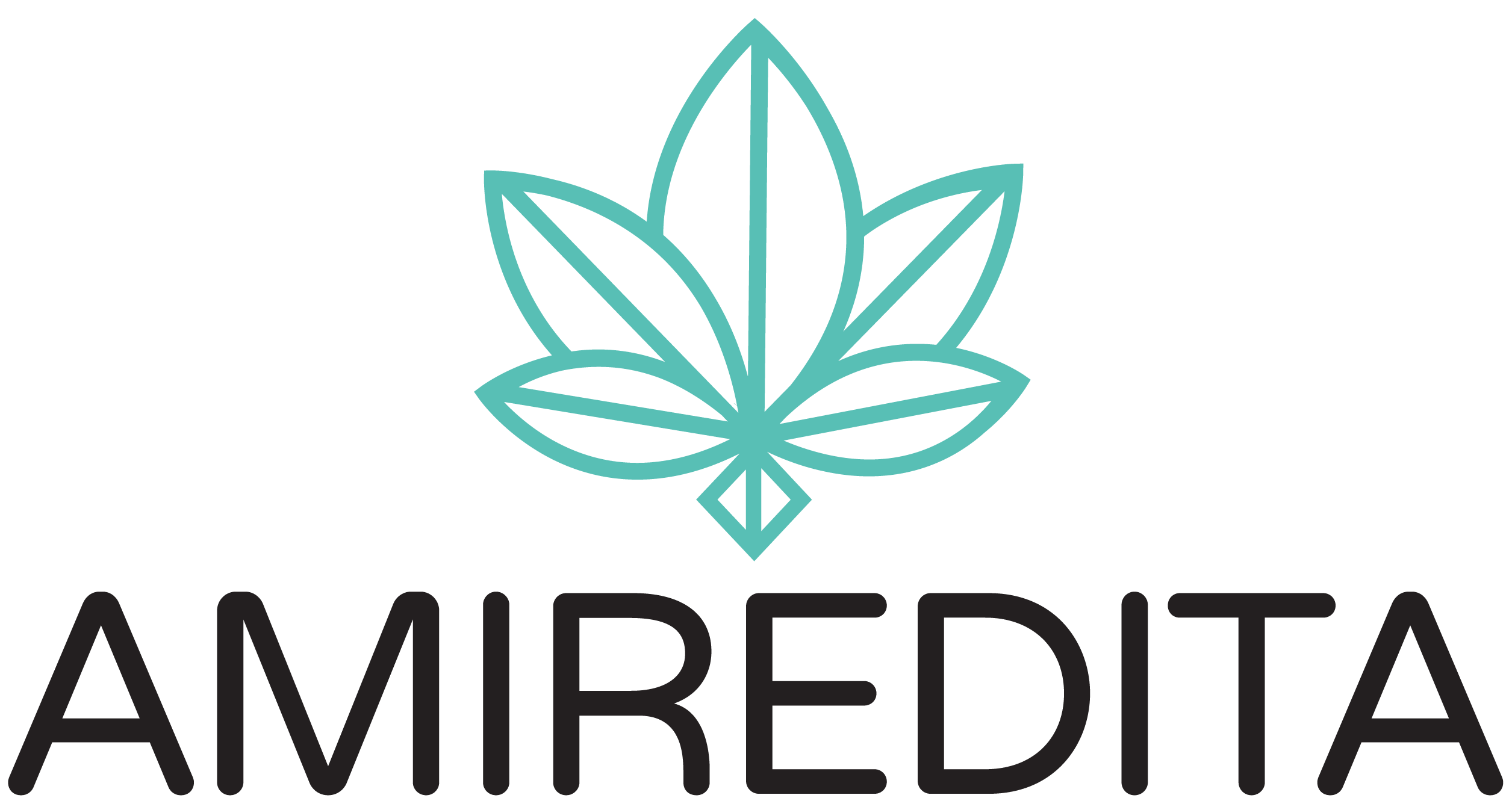 Amiredita